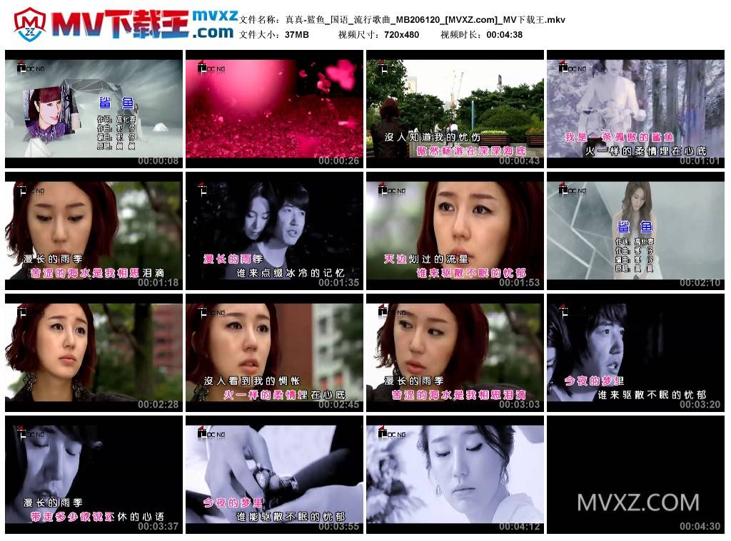 真真-鲨鱼_国语_流行歌曲_MB206120
